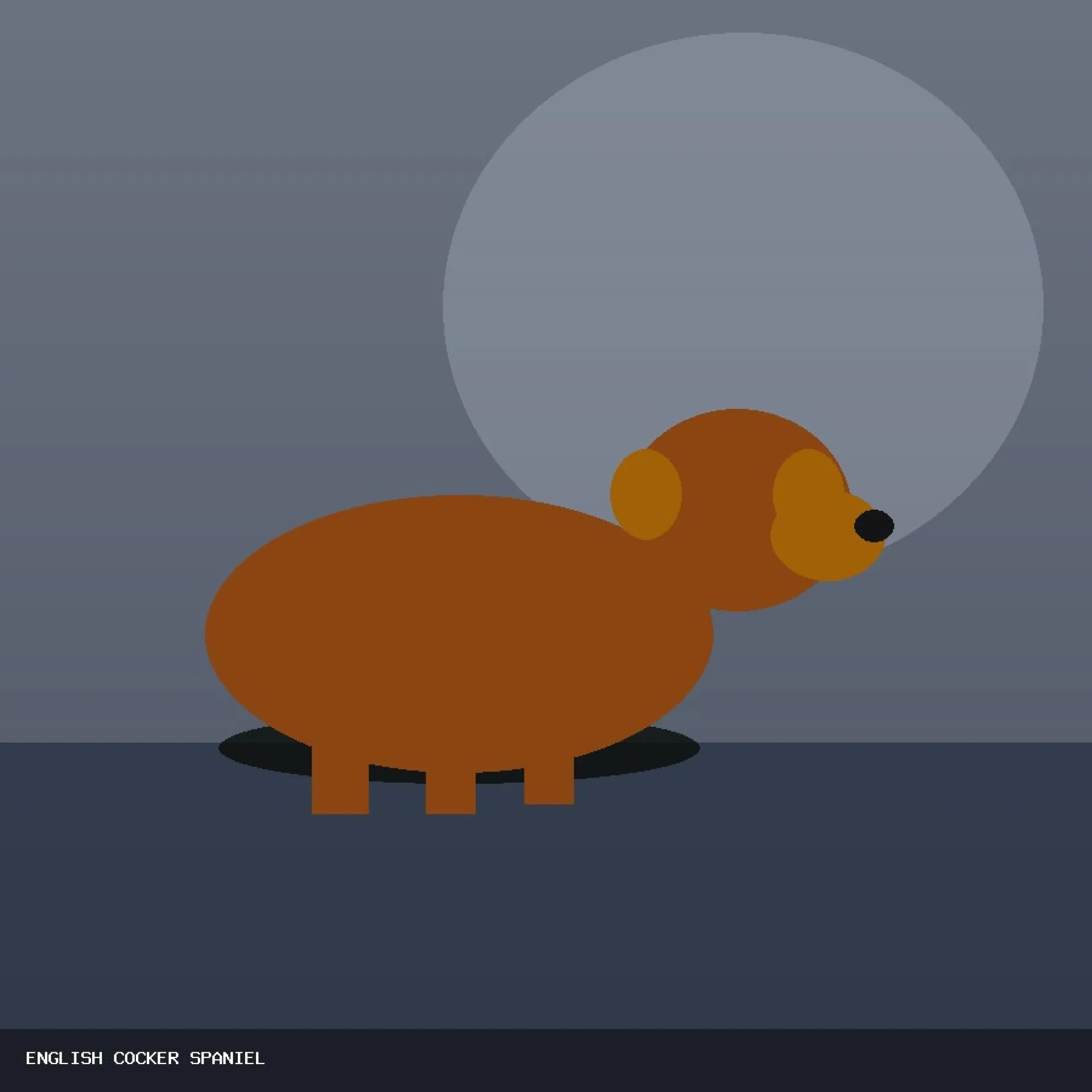DAM ENGLISH COCKER SPANIEL 14