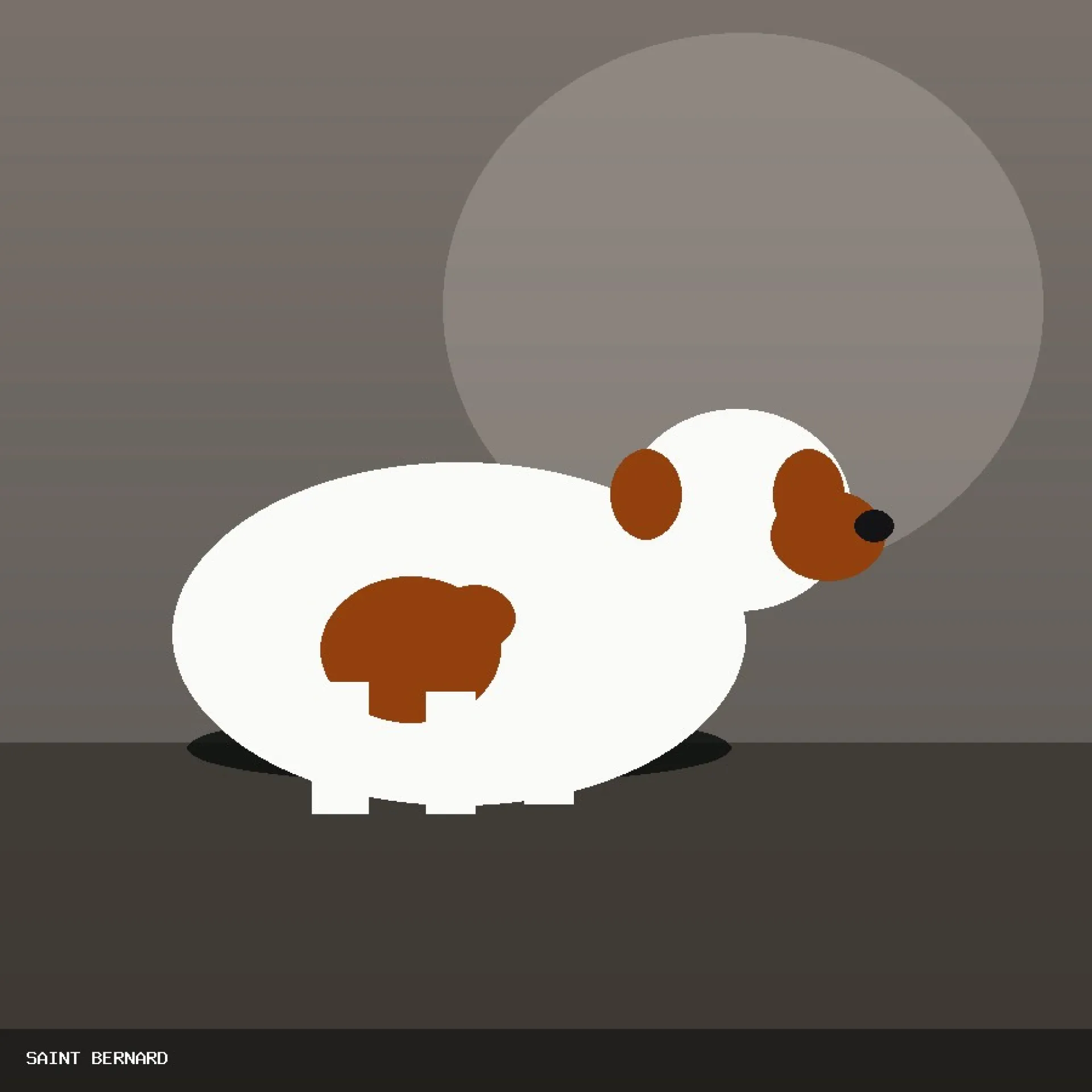 DAM SAINT BERNARD 20