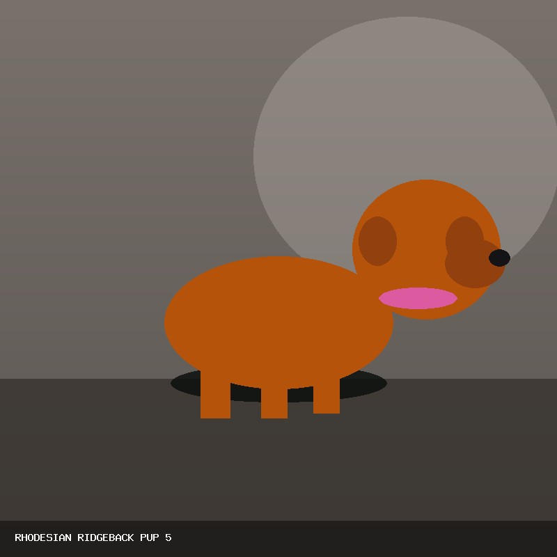 Pup 5