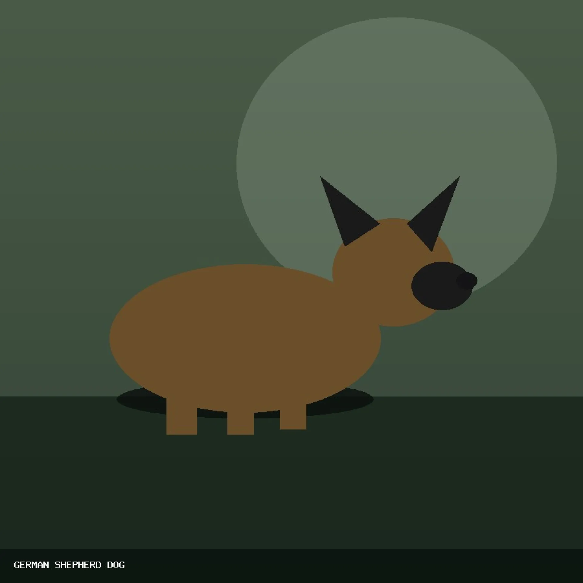 DAM GERMAN SHEPHERD DOG 43