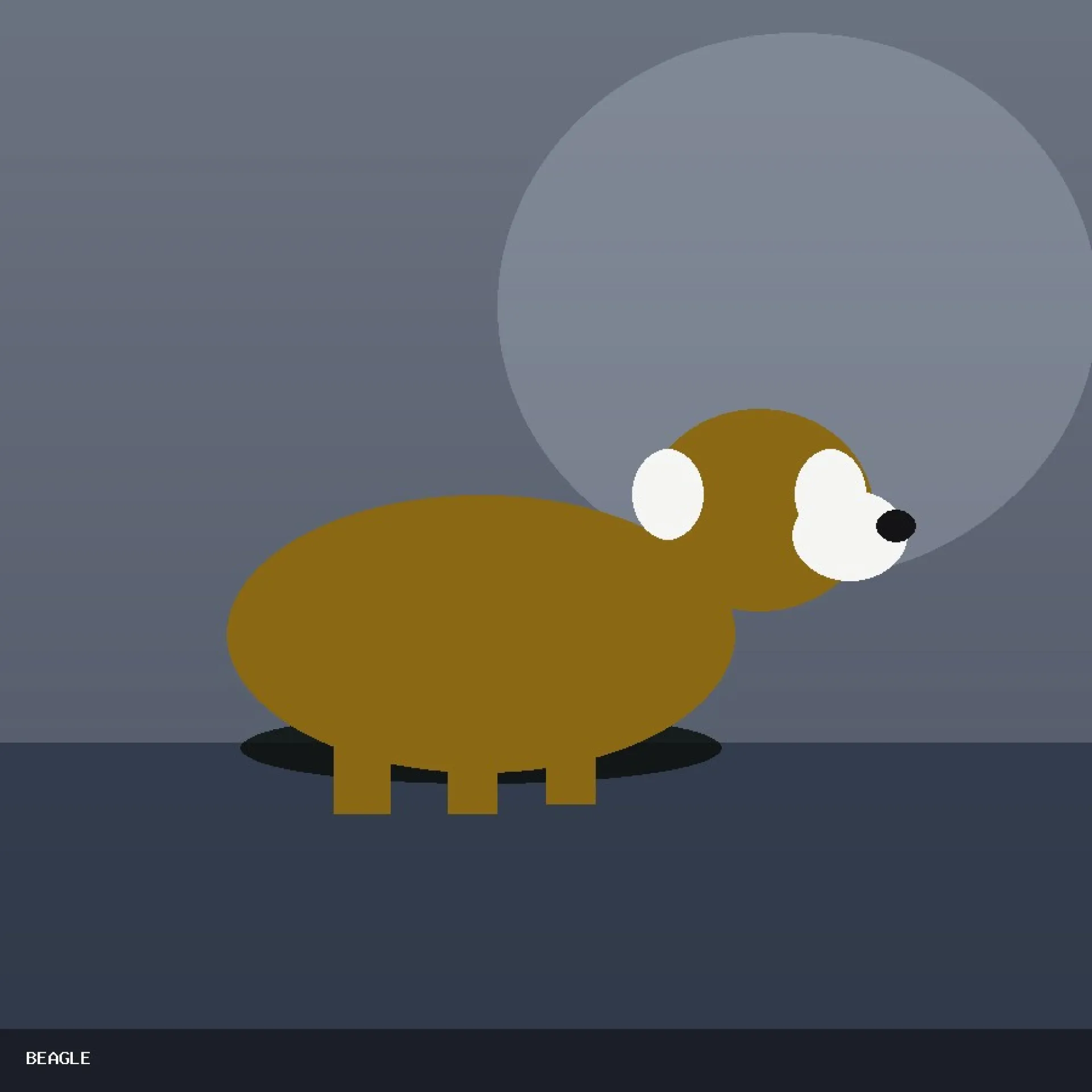 SIRE DACHSHUND 50