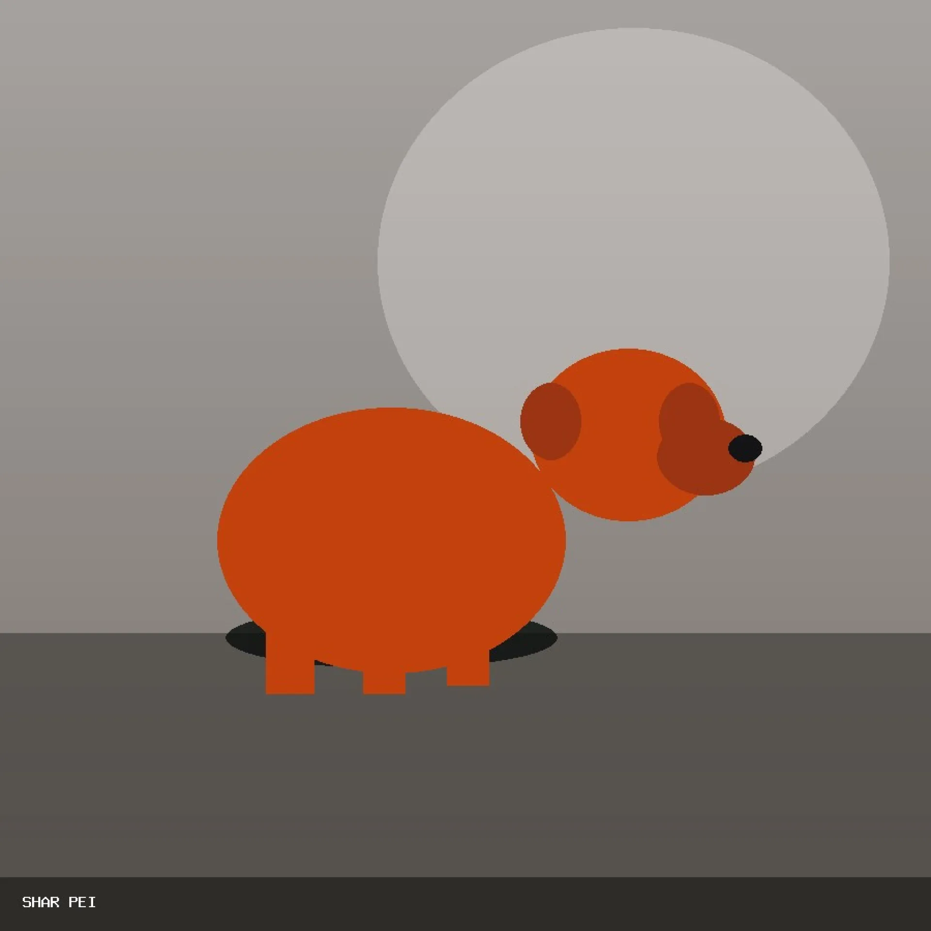 DAM SHAR PEI 61