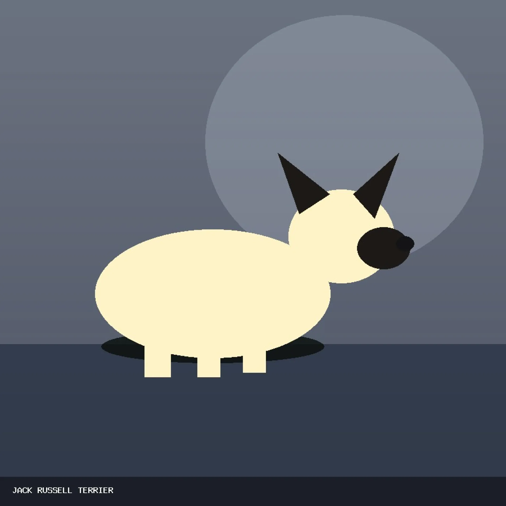 DAM JACK RUSSELL TERRIER 68