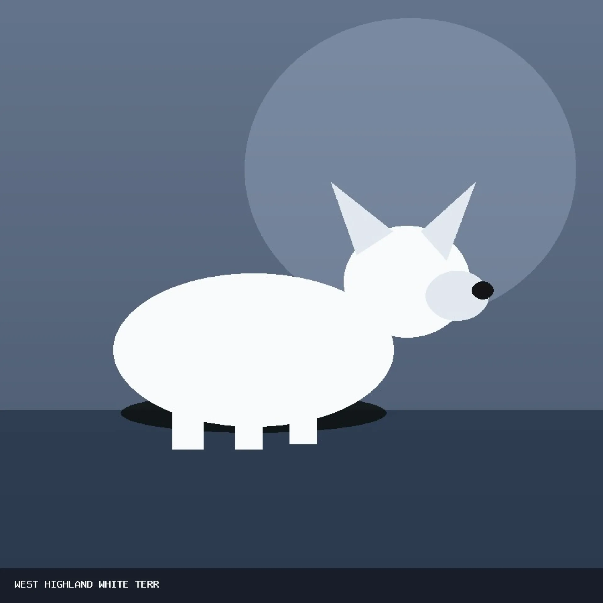 DAM WEST HIGHLAND WHITE TERRIER 69