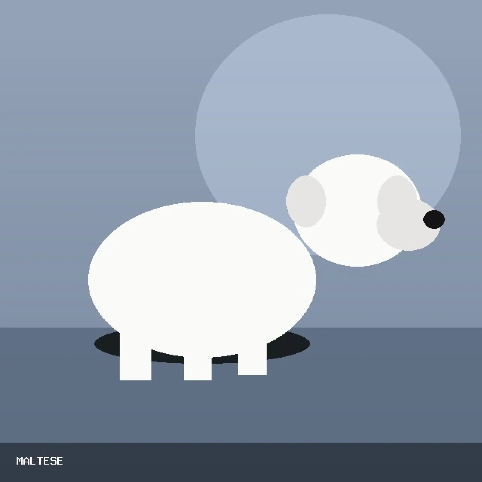 Logotip Silver Cane Hof