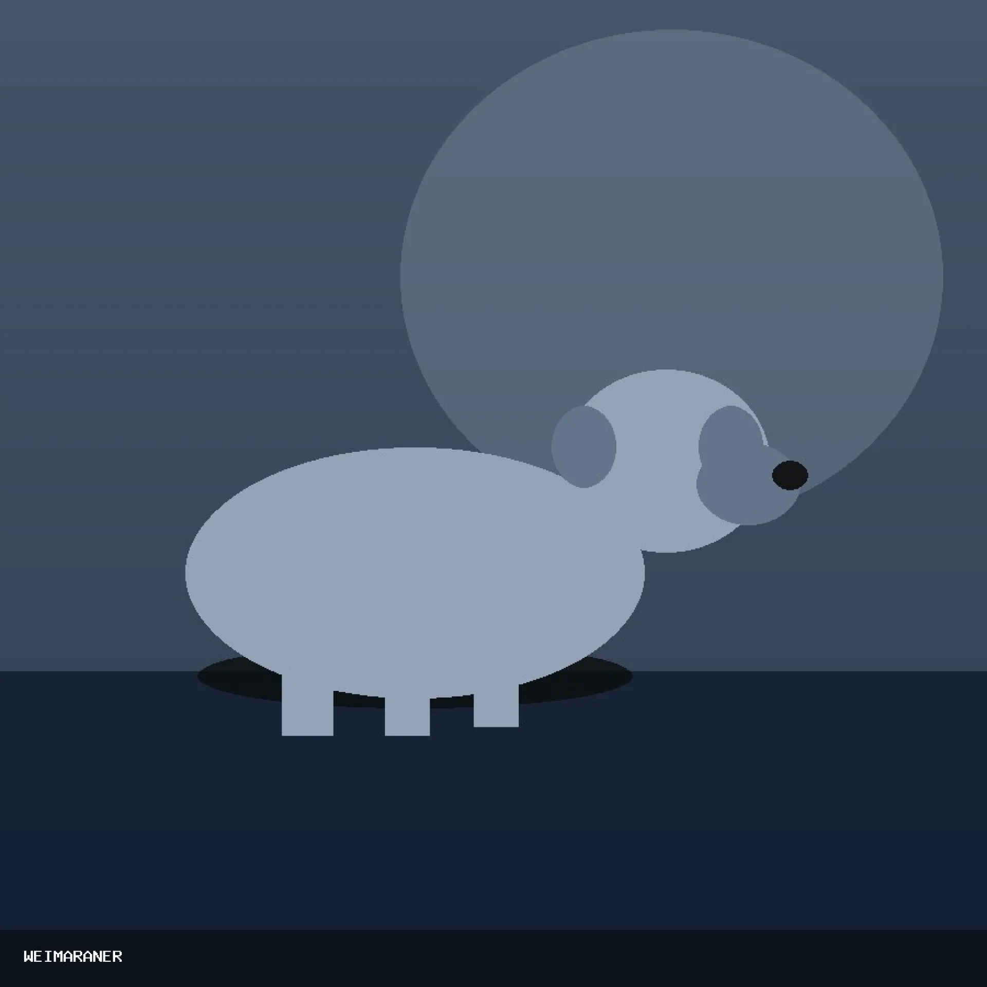 DAM WEIMARANER 74
