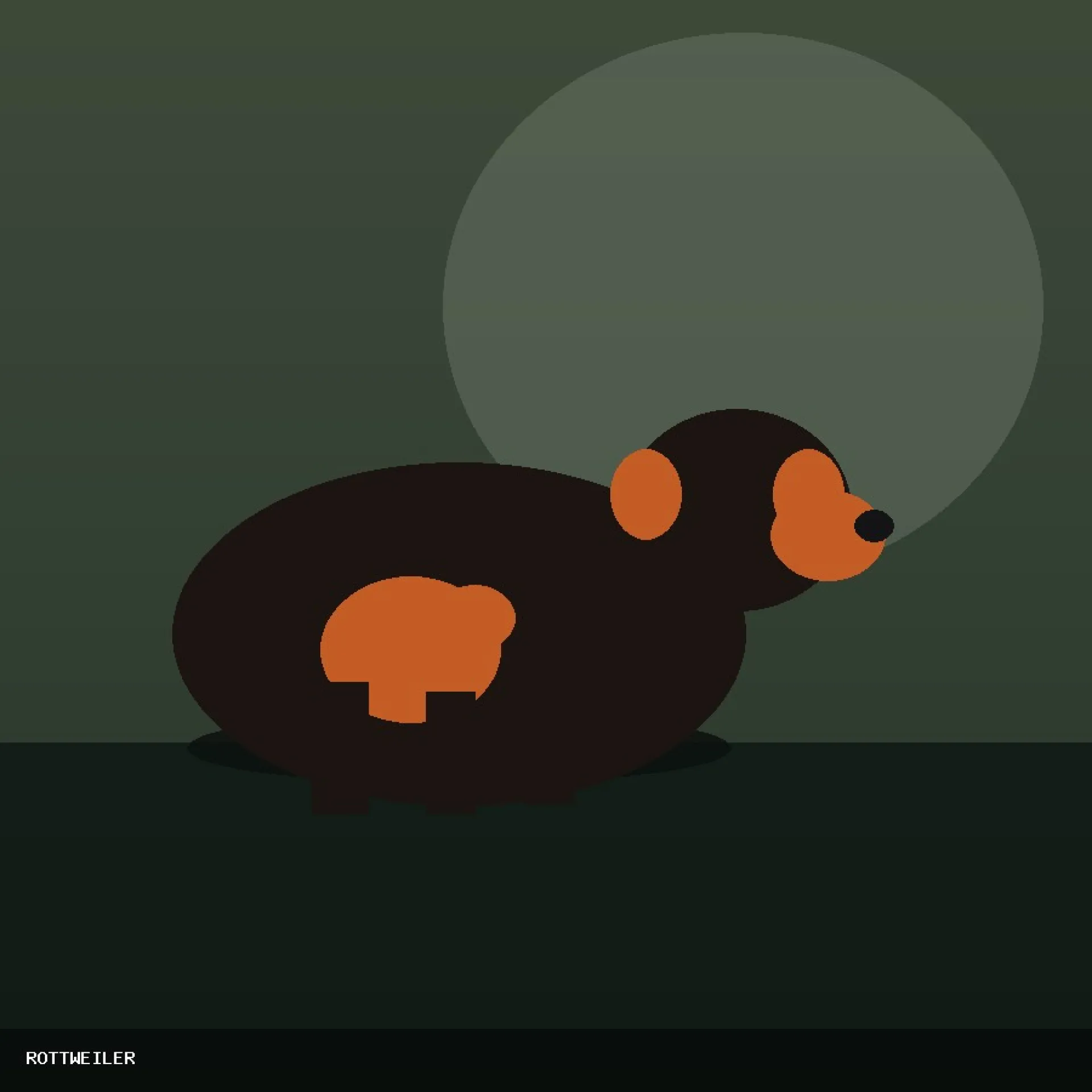 DAM ROTTWEILER 81