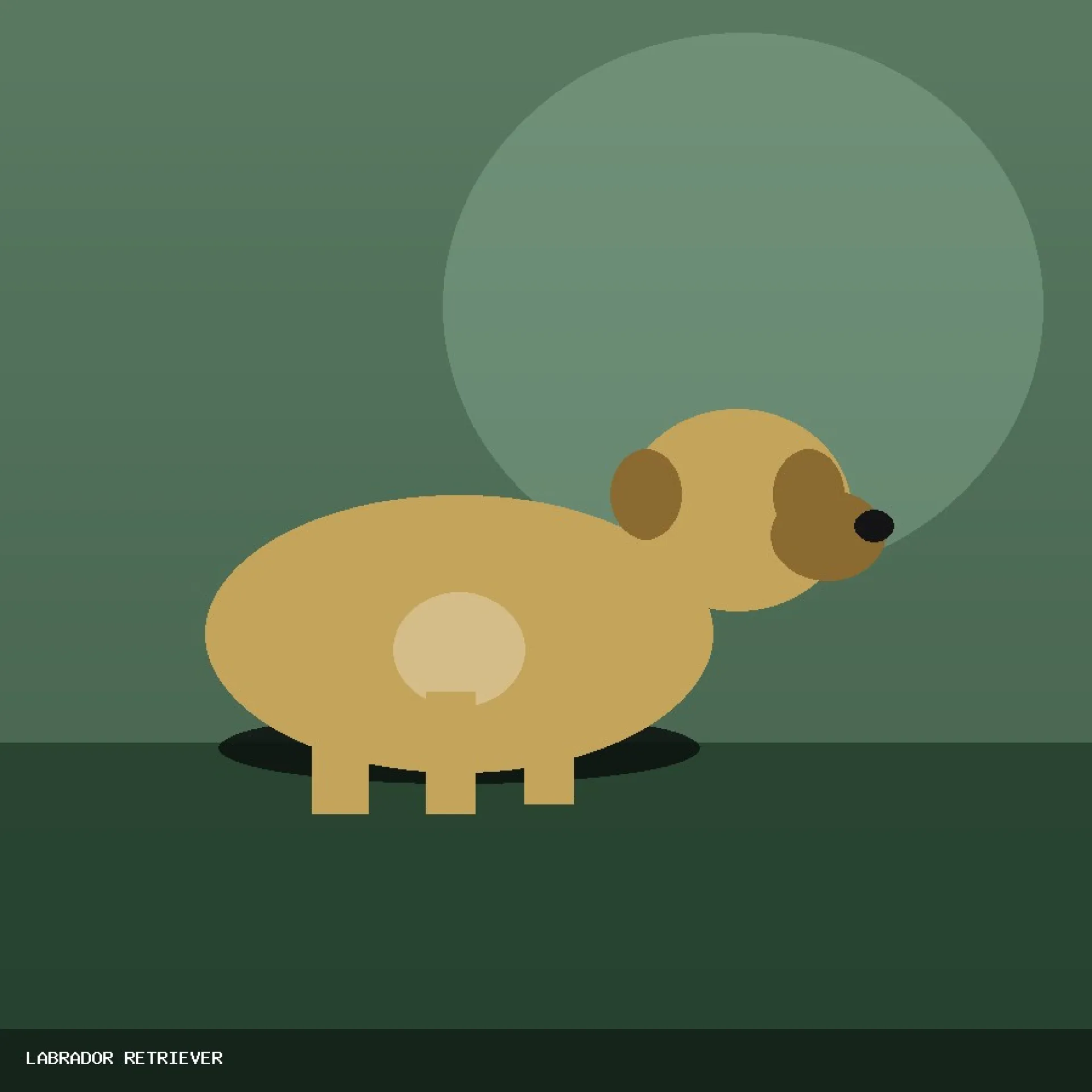 DAM LABRADOR RETRIEVER 82