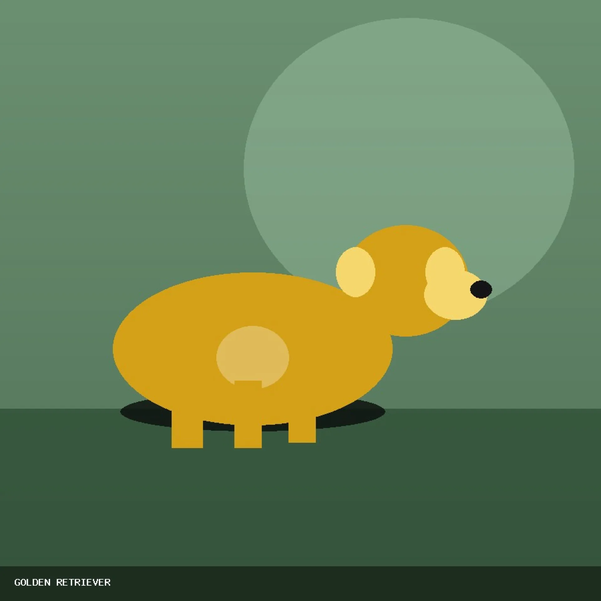 DAM GOLDEN RETRIEVER 85