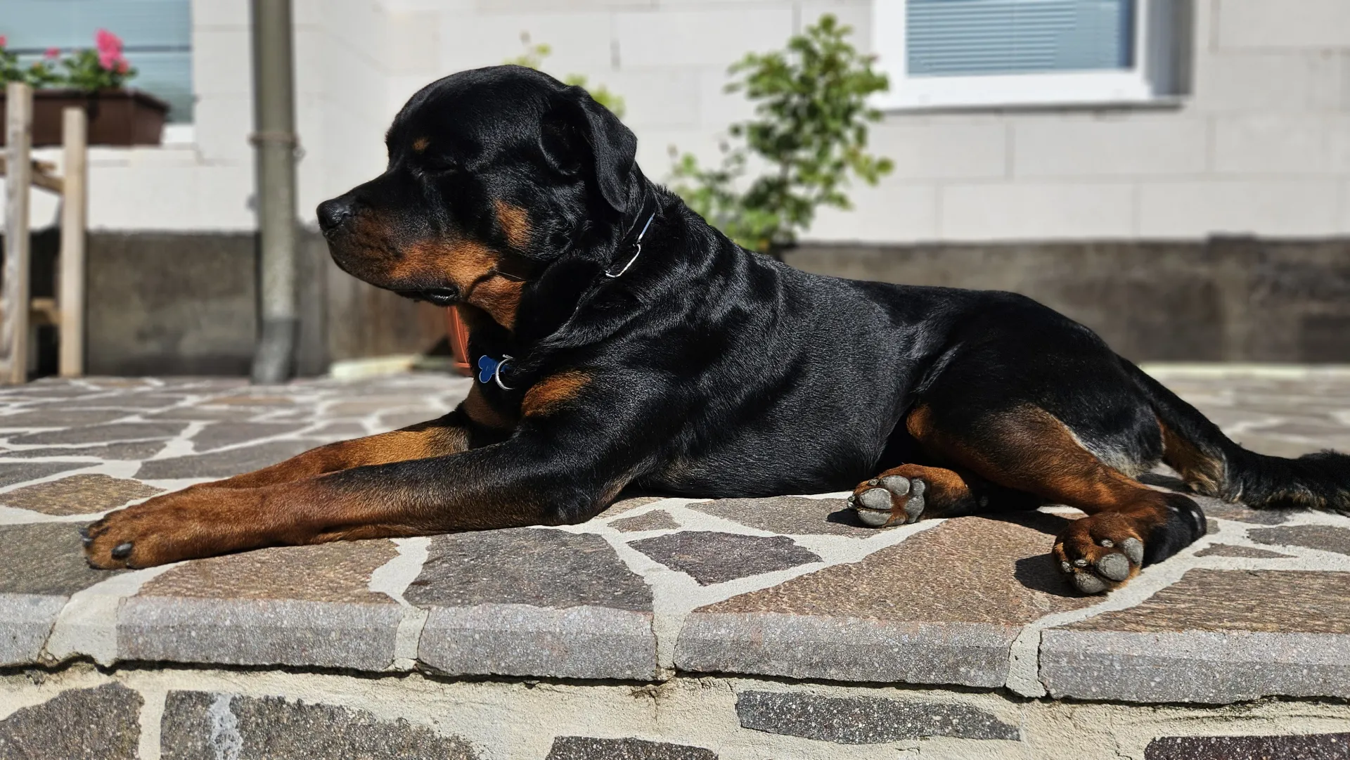 BOSS VON DER WUTHABURG